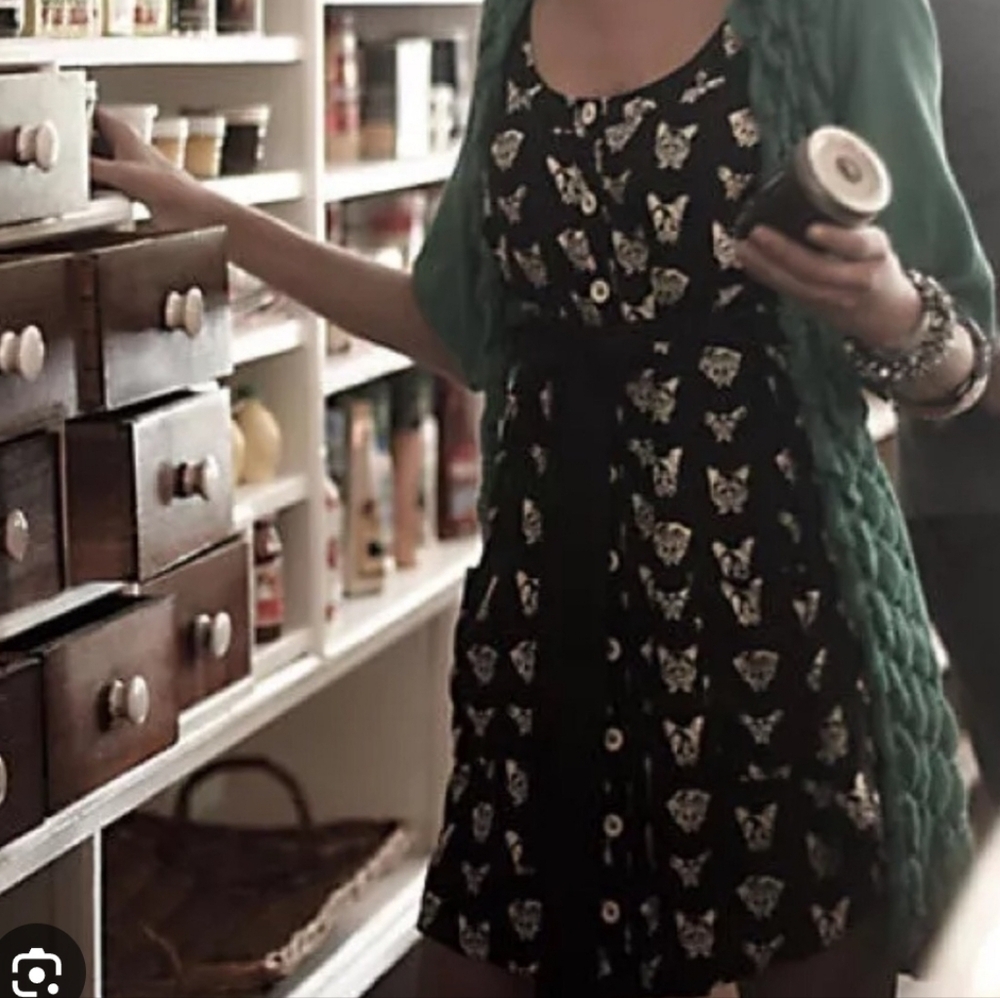 Anthropology VT Cavorting Canine Frenchy Novelty Print Silk Tunic Dress Sz S